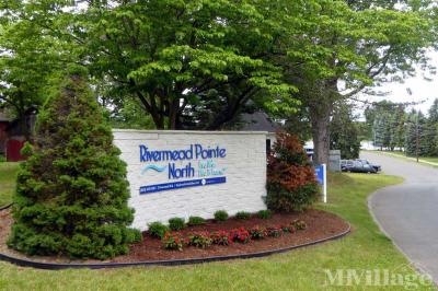 Photo 3 of 16 of park