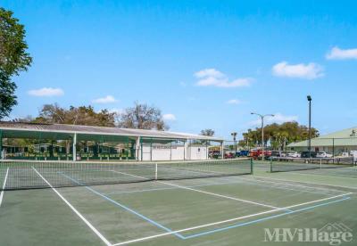 Photo 5 of 12 of park located at 41200 Roselle Loop Zephyrhills, FL 33540