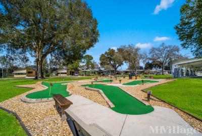 Photo 5 of 17 of park located at 41200 Roselle Loop Zephyrhills, FL 33540