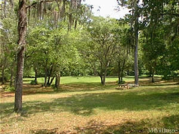 Photo 1 of 1 of park located at 786 NW Stephen Foster Drive White Springs, FL 32096