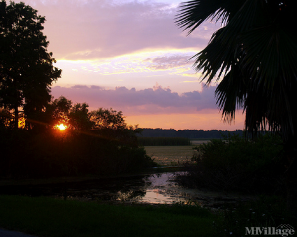 Photo 1 of 2 of park located at 50 Continental Blvd Wildwood, FL 34785