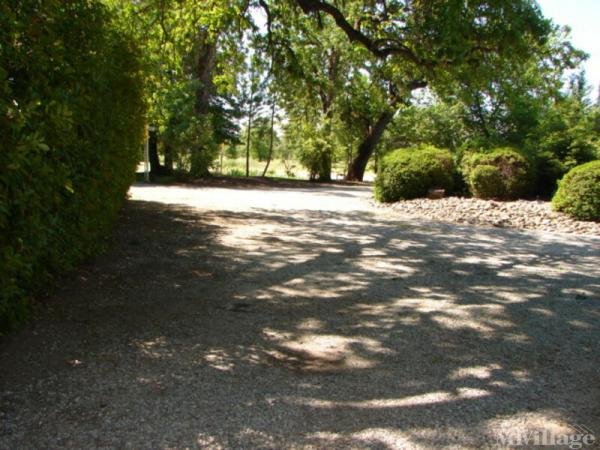 Photo 1 of 2 of park located at 21800 Topland Dr Palo Cedro, CA 96073
