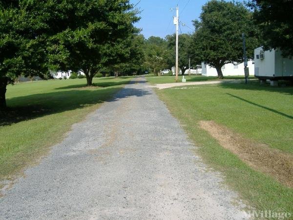 Photo of Evans Mobile Home Park, Georgetown SC
