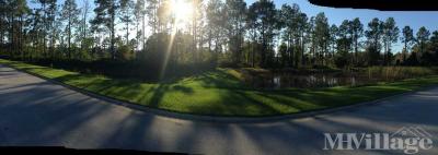 Photo 3 of 11 of park located at 10600 South Ardmore Drive Homosassa, FL 34446