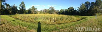 Photo 4 of 11 of park located at 10600 South Ardmore Drive Homosassa, FL 34446