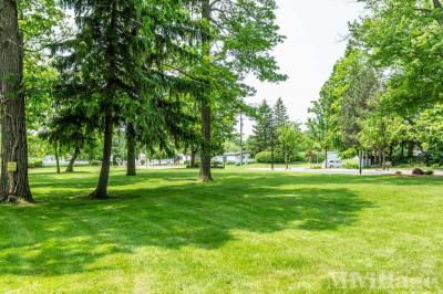Photo 3 of 21 of park