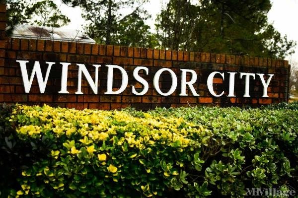 Photo of Windsor City, Sumter SC