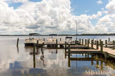 Photo 5 of 10 of park located at 38791 Us Highway 19 North Tarpon Springs, FL 34689