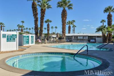 Photo 3 of 7 of park located at 51-555 Monroe Street Indio, CA 92201