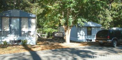 Photo 2 of 8 of park