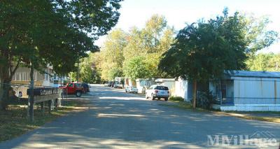 Photo 5 of 8 of park