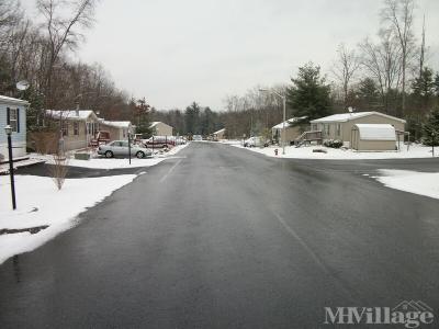 Photo 5 of 19 of park located at 14 All Kings Dr New Ringgold, PA 17960