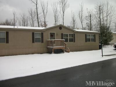 Photo 2 of 19 of park located at 14 All Kings Dr New Ringgold, PA 17960