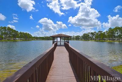 Photo 4 of 47 of park located at 19376 Us Highway 41 N North Fort Myers, FL 33903