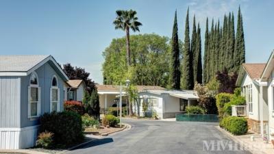 Photo 5 of 40 of park located at 6000 Greenback Ln Citrus Heights, CA 95621