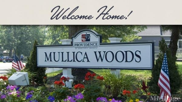 Photo of Mullica Woods, Egg Harbor City NJ