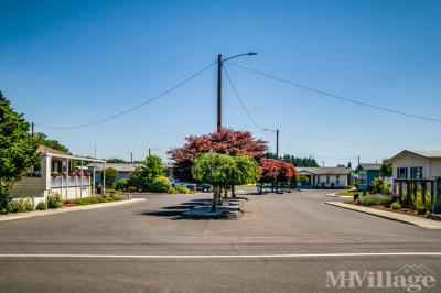 Photo 4 of 35 of park located at 5510 Windsor Island Road N Keizer, OR 97303