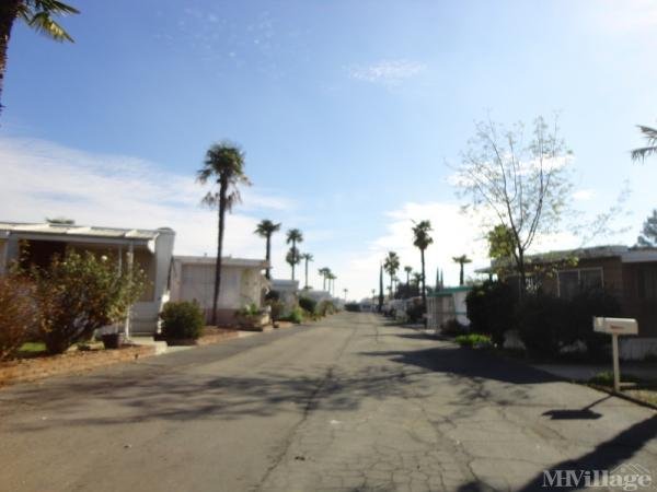 Photo of Aladdin Mobile Estates, Yucaipa CA