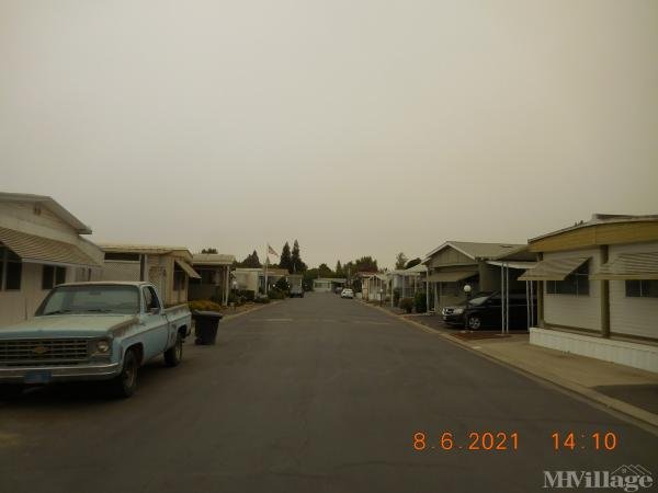 Photo of Almond Grove, Escalon CA