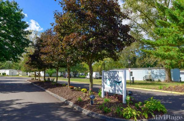 Photo 1 of 2 of park located at 6600 Portage Lake Road Munith, MI 49259
