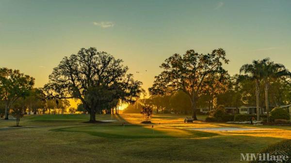 Photo 1 of 1 of park located at 1895  West C 48 Bushnell, FL 33513