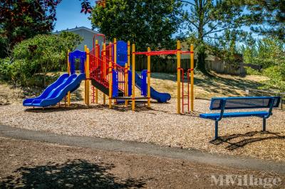 Photo 4 of 22 of park located at 13400 SE Holgate Blvd Portland, OR 97236