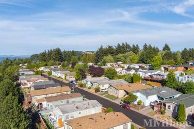 Photo 3 of 11 of park