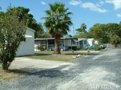 Photo 3 of 7 of park located at 8301 New York Avenue Hudson, FL 34667
