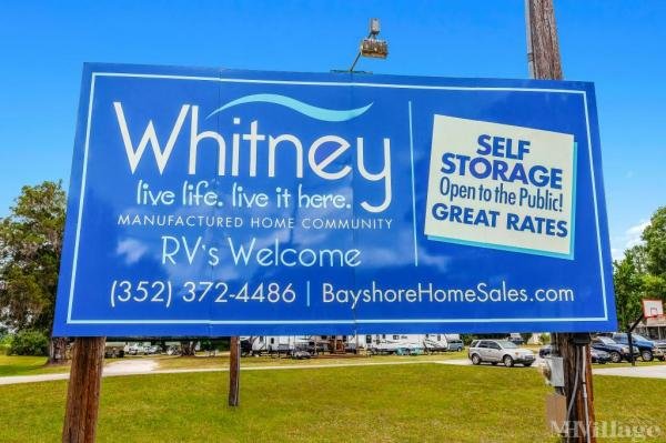 Photo of Whitney, Gainesville FL
