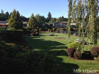 Photo 3 of 25 of park