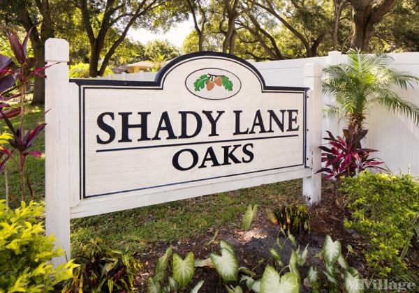 Photo of Shady Lane Oaks, Clearwater FL