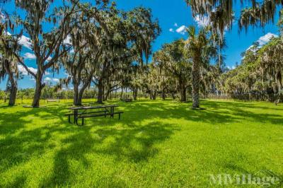 Photo 5 of 20 of park located at 101 Amsterdan Ave Ellenton, FL 34222