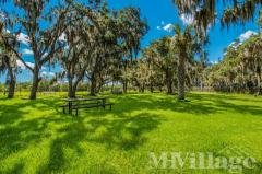 Photo 5 of 20 of park located at 101 Amsterdan Ave Ellenton, FL 34222