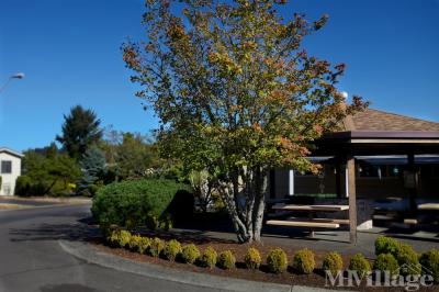 Photo 2 of 6 of park located at 7455 SE King Road Milwaukie, OR 97222