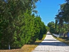 Photo 5 of 9 of park located at 1038 Sparrow Ln. Tarpon Springs, FL 34689