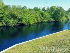 Photo 4 of 6 of park located at 1038 Sparrow Ln. Tarpon Springs, FL 34689