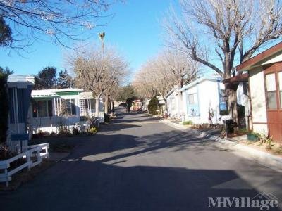 Mobile Home Park in Newhall CA