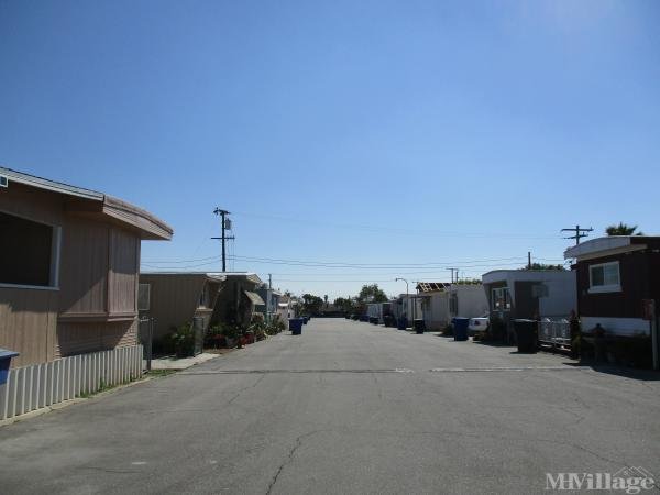 Photo of Bonanza Mobile Home Park, San Bernardino CA
