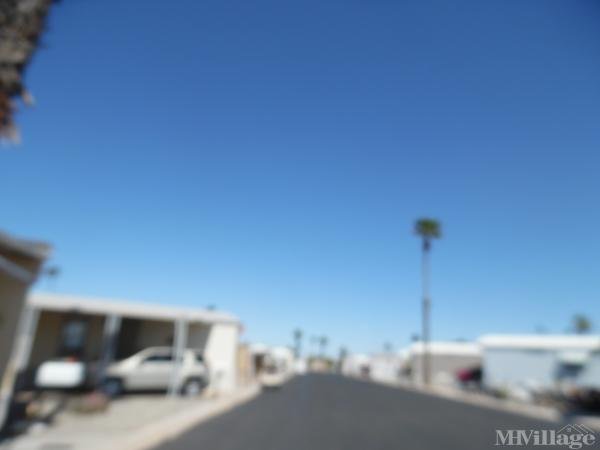 Photo of Mesa Terrace Mobile Estates, Yuma AZ