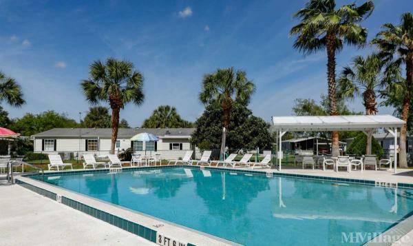 Photo 1 of 2 of park located at 3151 NW 44th Avenue Lot 1 Ocala, FL 34482