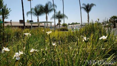 Photo 2 of 11 of park located at 1600 South San Jacinto Avenue San Jacinto, CA 92583