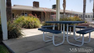Photo 4 of 11 of park located at 1600 South San Jacinto Avenue San Jacinto, CA 92583