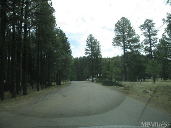 Photo of Timberline Mobile Home Community, Show Low AZ