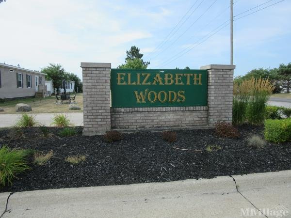 Photo of Elizabeth Woods, Newport MI