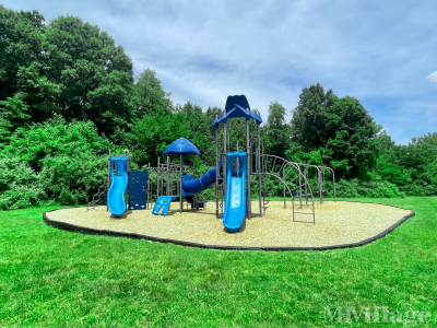 Photo 4 of 11 of park
