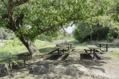 Photo 5 of 19 of park located at 1605 North 36th Street Van Buren, AR 72956