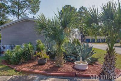 Photo 2 of 14 of park located at 8121 Lillian Hwy Pensacola, FL 32506