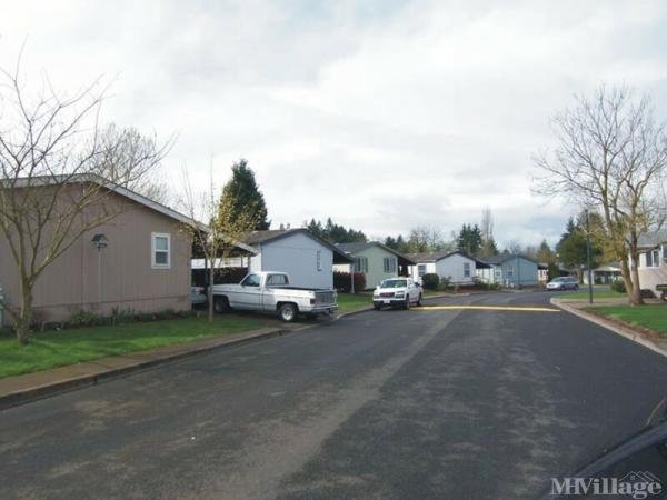 Photo 0 of 2 of park located at 1282 3rd St Lafayette, OR 97127