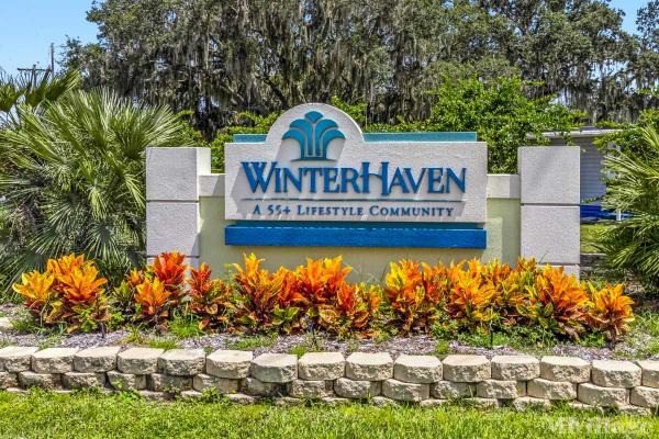 Bark in the Park – Main Street Winter Haven