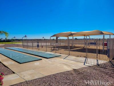 Photo 2 of 8 of park located at 8301 North 103rd Avenue Peoria, AZ 85345